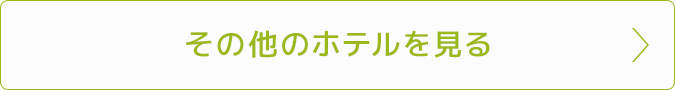 その他のホテルを見る