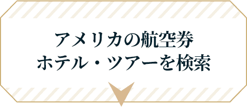 アメリカの航空券ホテル・ツアーを検索