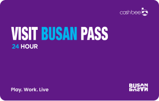 busanpass