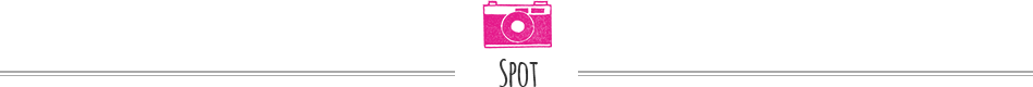 SPOT