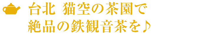 台北 猫空の茶園で絶品の鉄観音茶を♪