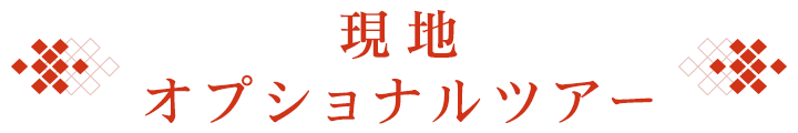 現地オプショナルツアー