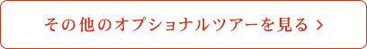 その他のオプショナルツアーを見る