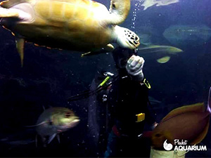 プーケット水族館