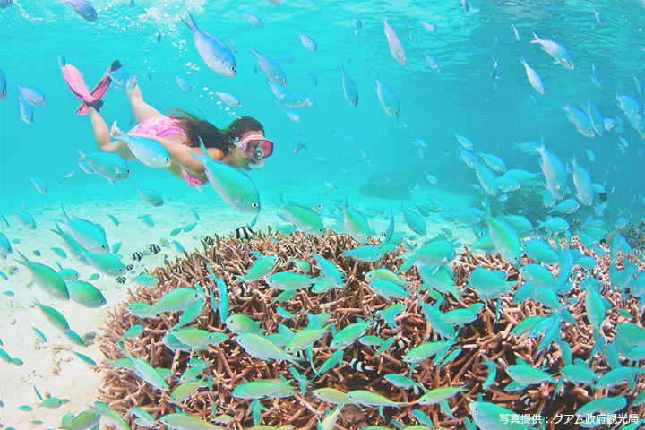 珊瑚礁の周りには様々なカラーの魚たちが集まってきます。
