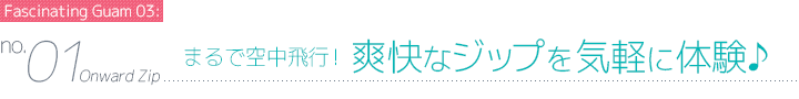 まるで空中飛行！爽快なジップを気軽に体験♪