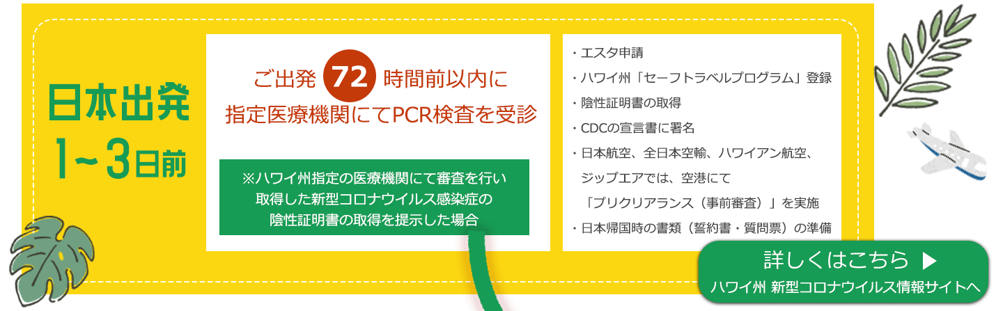 海外旅行再開となった時に役立つハワイ旅行の最新情報 楽天トラベル