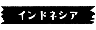 インドネシア