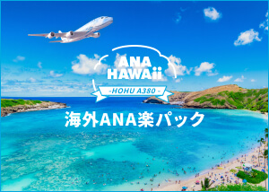 海外ANA楽パック