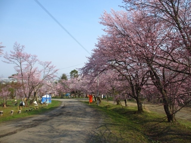 旭山公園