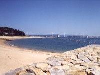 本島泊海水浴場・写真