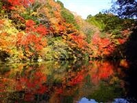 亀山湖・写真