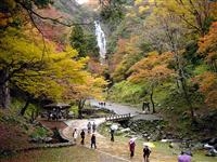 名勝神庭の滝・写真