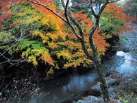 秋川渓谷・写真