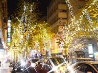 光のしずくイルミネーション・写真