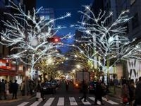 TOKYO ILLUMILIA・写真