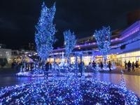 Terrace Mall 湘南 冬のIllumination・写真