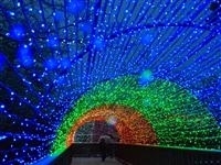 イルミネーションイベント「光の森のページェント」（国営アルプスあづみの公園 堀金・穂高地区）・写真