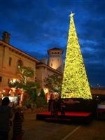 ポルトヨーロッパ ジャンボクリスマスツリー・写真