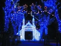 「日本のクリスマスは山口から」イルミネーション・写真