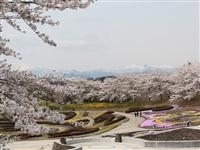 国営みちのく杜の湖畔公園（みちのく公園）・写真