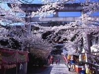 信夫山公園・写真