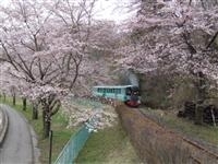 やながわ希望の森公園・写真