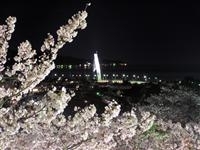 朝日山公園・写真
