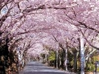 伊豆高原・写真