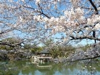 鶴舞公園・写真