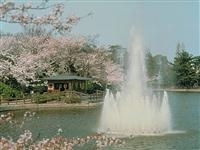 亀城公園（愛知県）・写真