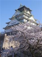 大阪城公園・写真