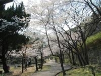 須磨浦公園・写真