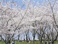 県立播磨中央公園・写真