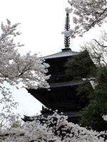 清水寺（島根県）・写真