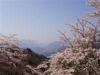 神ノ倉山公園・写真