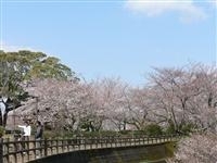 西部公園・写真