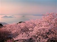 紫雲出山・写真