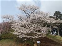 冨士山公園・写真