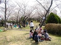 為松公園・写真