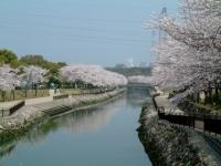 平和市民公園・写真