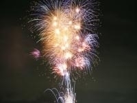 28Nx܎sԉΑ Ya Ԗ،Eʐ^
