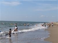 桂浜海水浴場（秋田県）・写真