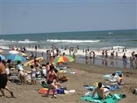 楽天トラベル 一松海水浴場 動画 写真 たびノート