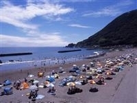 河津浜海水浴場・写真