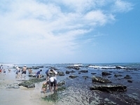 伊師浜海水浴場・写真