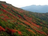 大雪山国立公園・写真