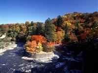 中野もみじ山・写真