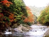 薬研温泉・写真