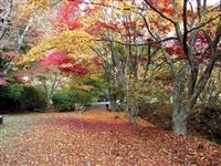 きみまち阪県立自然公園・写真